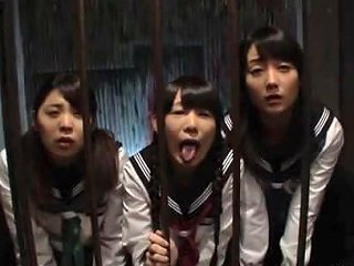 Student Council Of Pretty Deep Throat Slaves Part1